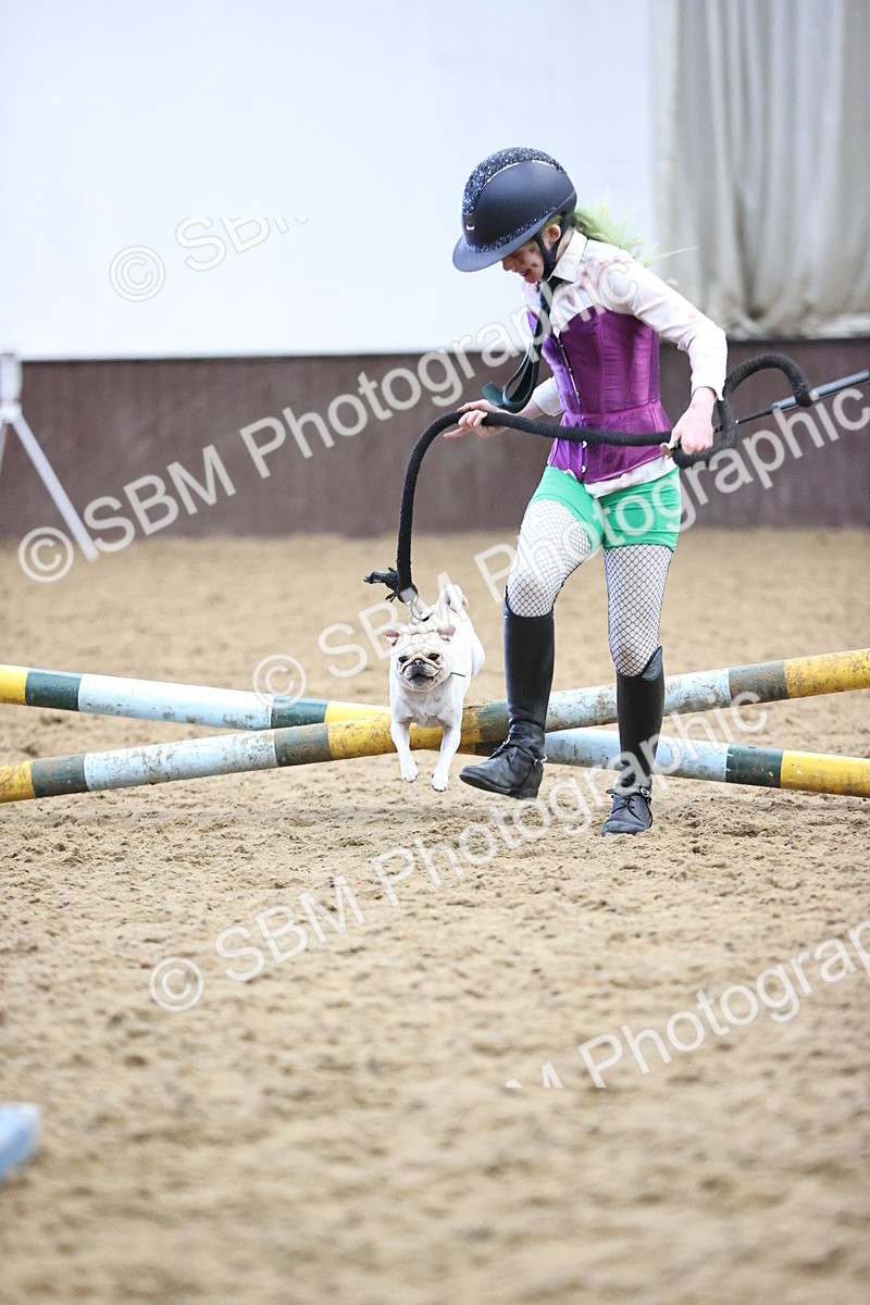 SBM_001652 - Class 3 - Horse & Hound 60cm