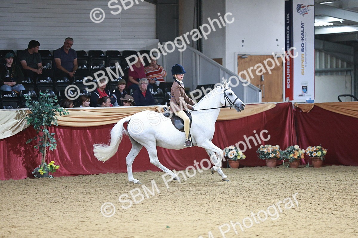 SBM_08338 - Class 11R - Regional Ridden Veteran