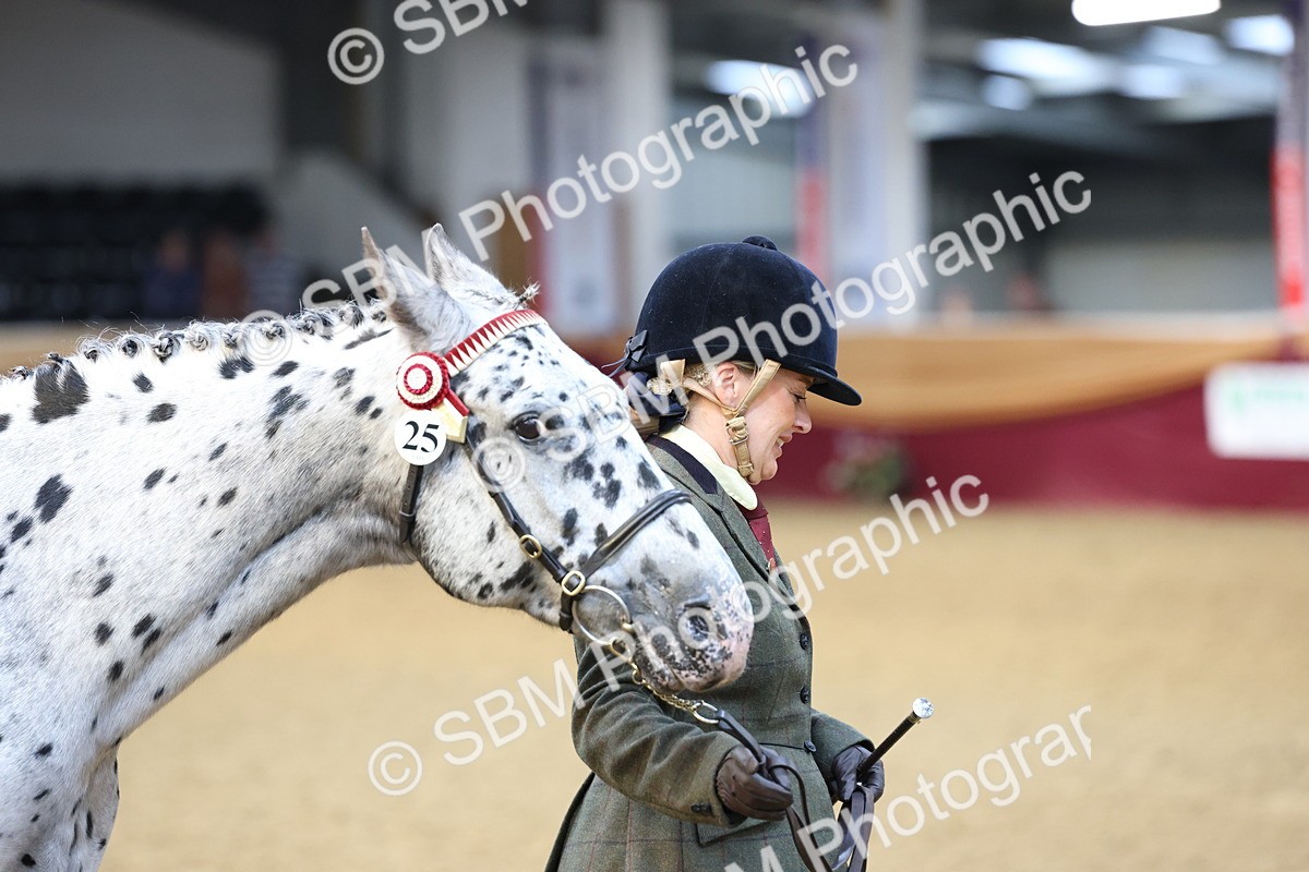 SBM_21873 - Class 901 - Supreme Final - IH  Diamond