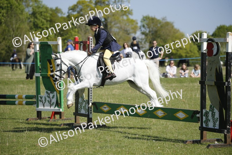 20250427-1972 - Class 13 - Novice Jumping 60cm
