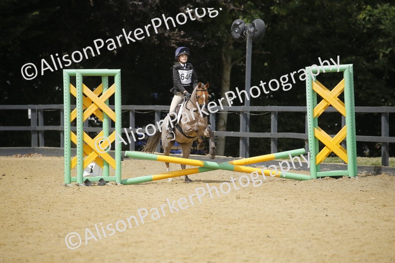 20250622-4132 - 50cm