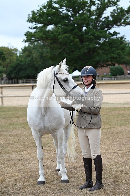WJ7_9101 - Class 4a Prettiest Mare 14.2hh and over