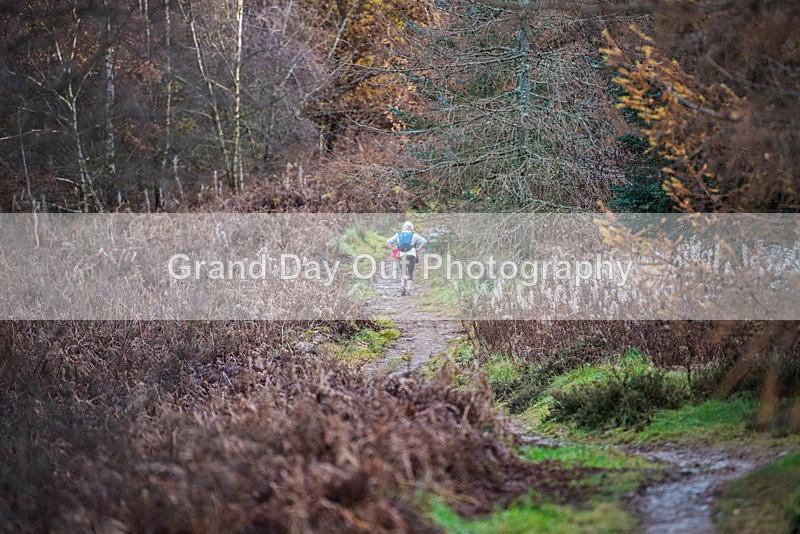 TVU 50  60K-724 - High Terrain Events Tweed Valley 50 & 65K Ultra Trail Races Sunday 19th November 2023