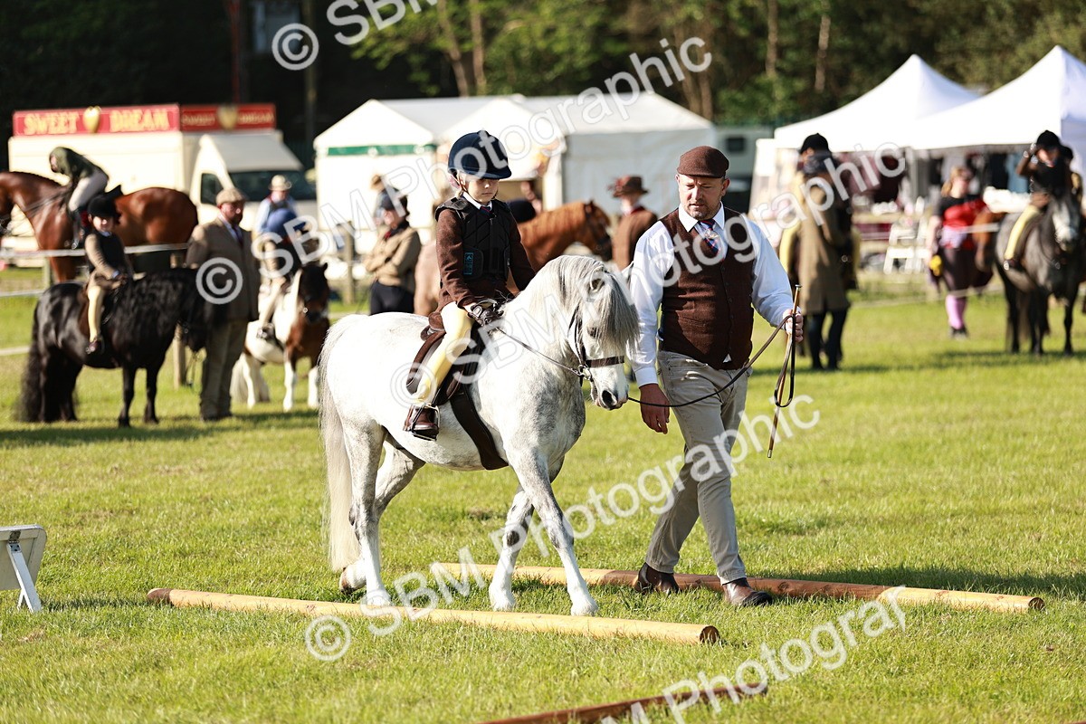 SBM_11129 - Class 106-107 - BSPS LIHS Working Sports Pony
