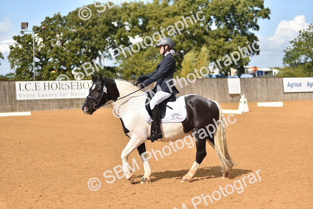 SBM_19922 - D4 - Small Tour Championship Intro 4