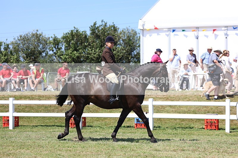 3E7A7963 - Class 9A: Open Small Hunter