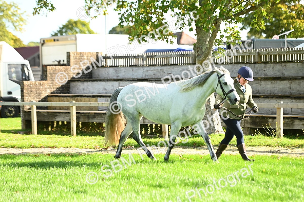 SBM_15851 - S1 - TSR in Hand Horse & Pony Showing