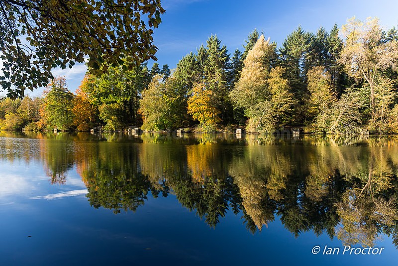 Reflections on the River Bann - Autumn