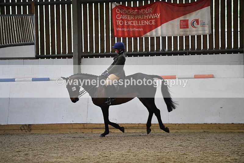 WJ5_8000 - Class 13 Ridden Part Breed