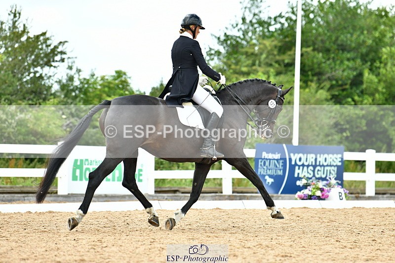 230702A-155101-11029 - Cls 37 + 42 FEI PSG + GP