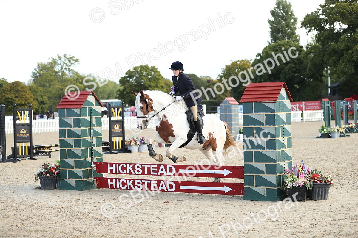 SBM_37326 - J20 - Junior Horse 50cm Championship