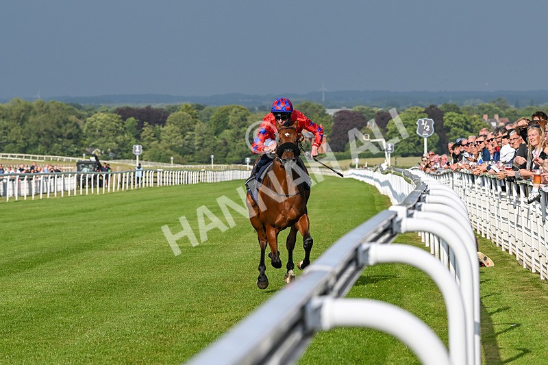 170625-Race 1-Command The Stars-5596 - Race 1