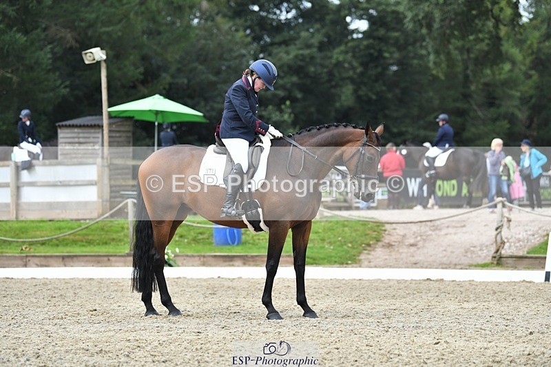 230812-111112-03552 - Cls 6 Novice Silver 10.30 to 11.55 break