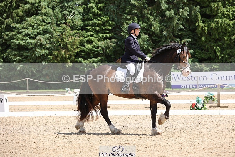 240721-133112-08829 - 176-Amanda_Williams-Llanarth_Westminster