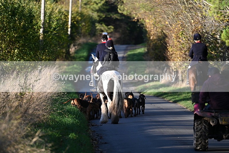 WJ7_8656 - Walk Home