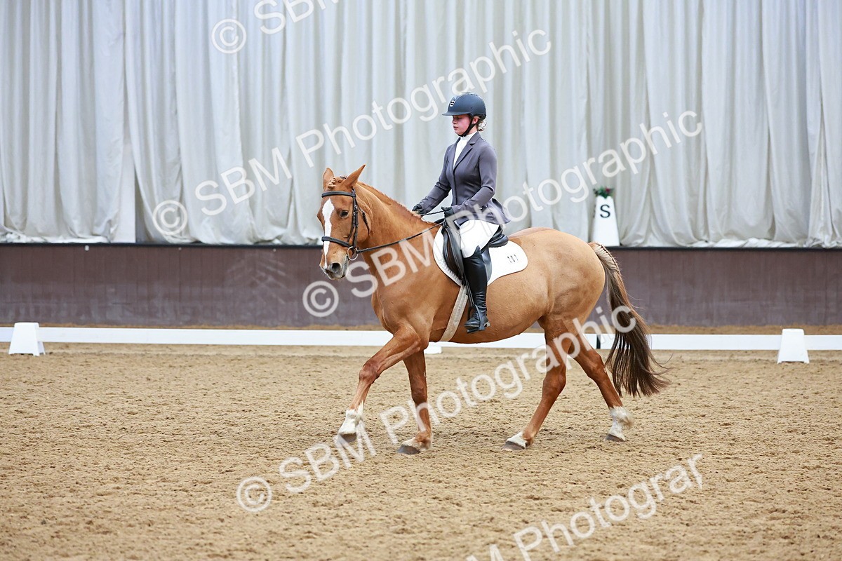 SBM_003837 - Class 11 - Novice 2