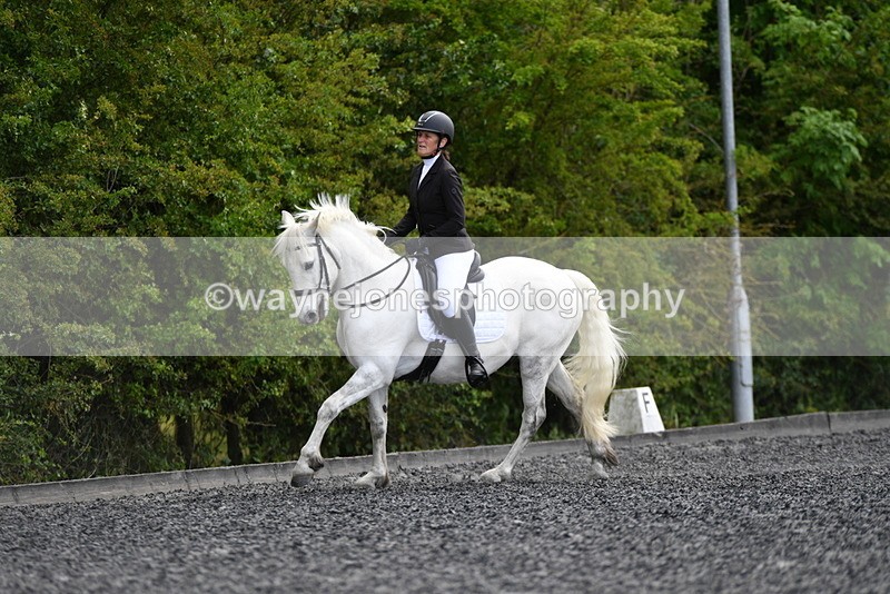 WJ5_0650 - Time 13:04 to 13:42