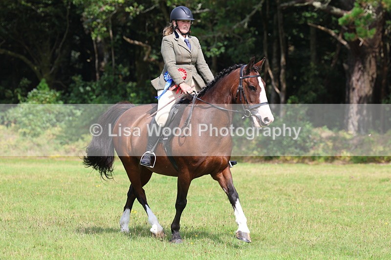 3E7A6042 - Working Hunter Championship