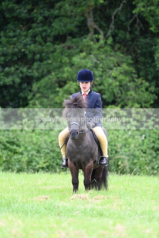 WJ7_3756 - Class 14A Handsome Gelding