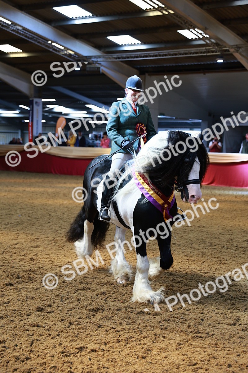 SBM_12817 - HOYS Veteran Qualifier - Ridden Champ