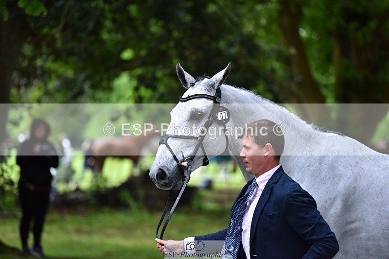 240522-162644-00924 - 207-IE_MR_MCGREGOR-Will_Furlong