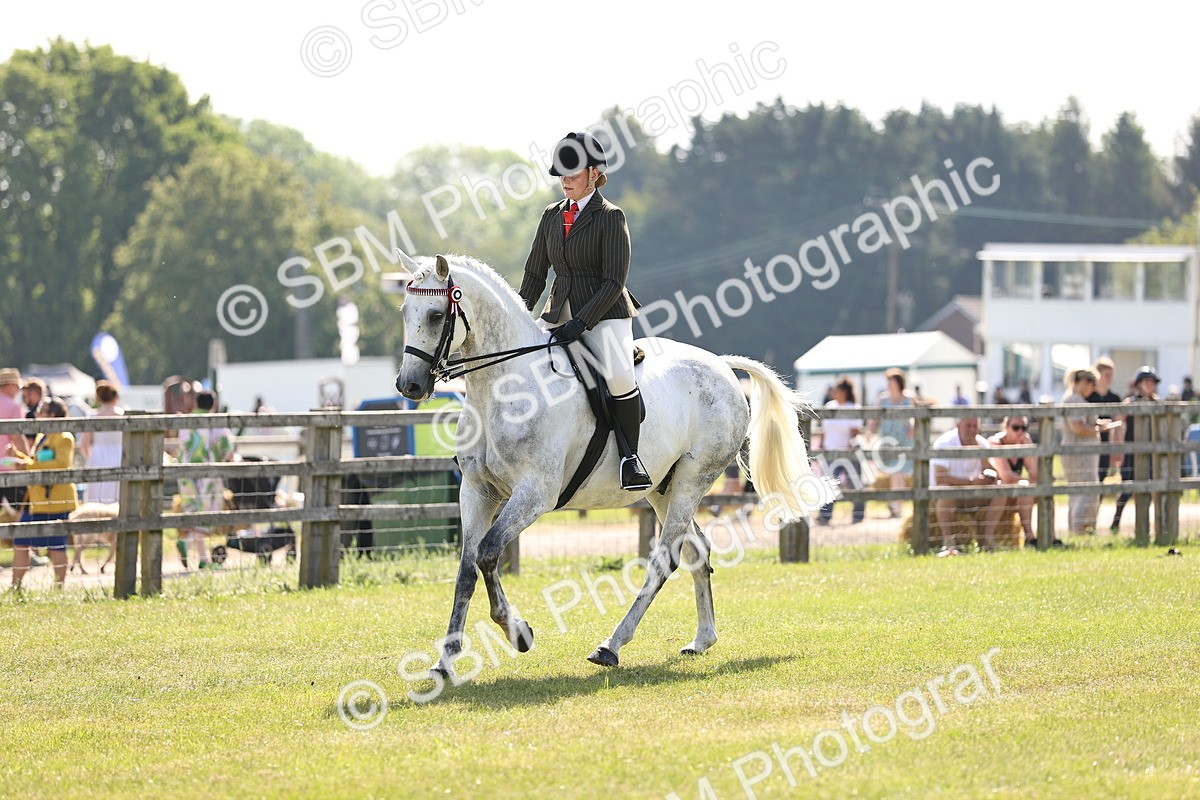 SBM_12921 - Class 75-76 LIHS BSHA Rising Star Hack Riding Horse