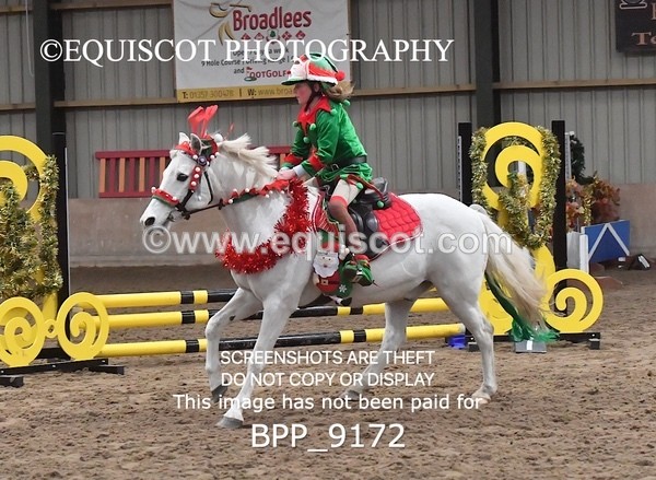BPP_9172 - CLASS 4 50CM Novice Show Jumping
