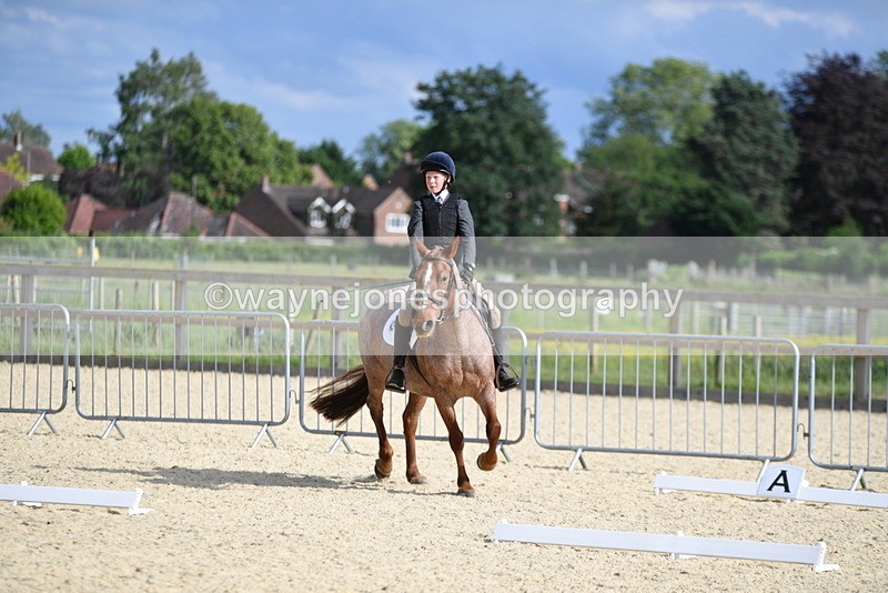 WJ5_7955 - Time 16:56 to 17:14