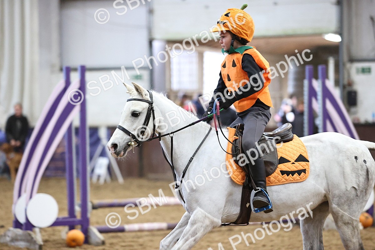 SBM_001357 - Class 3 - Horse & Hound 60cm