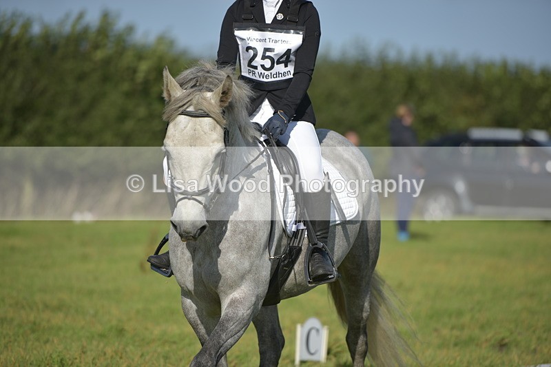 RAY_7376 - Class 2B: Trekenning Open: Dressage