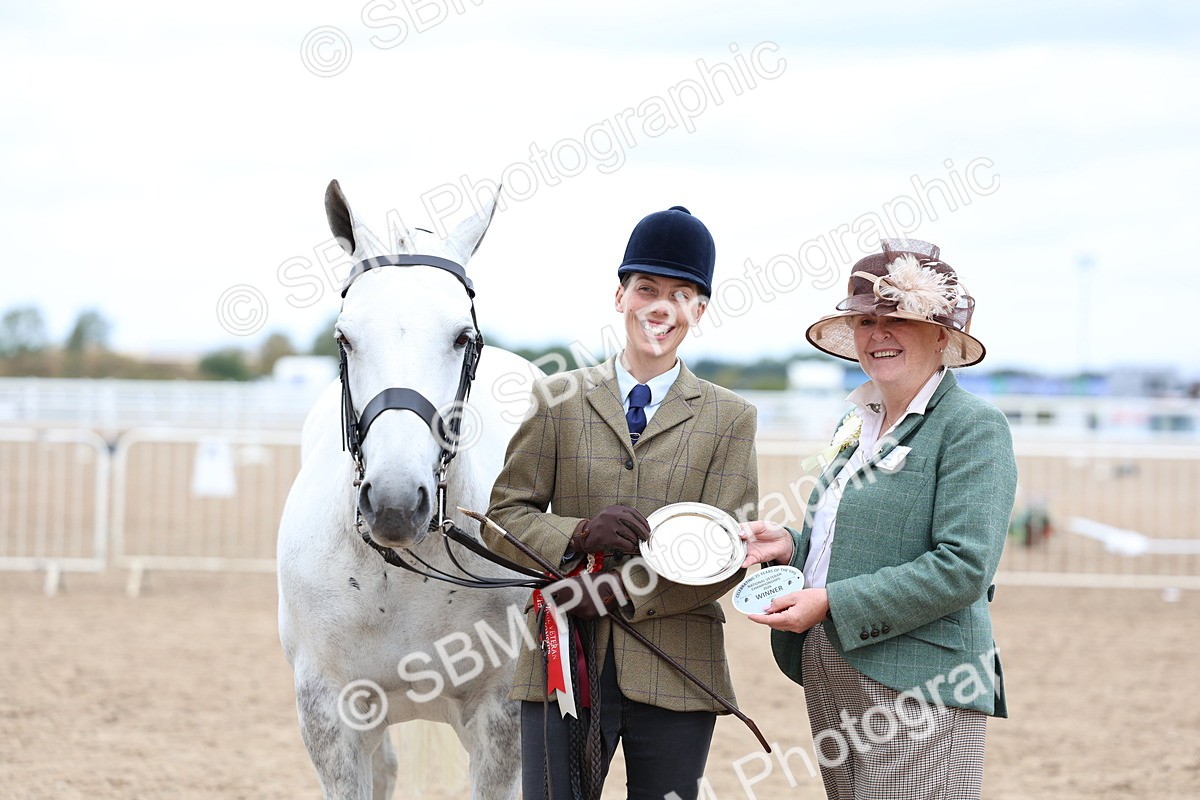 SBM_05790 - Class 28 - IH Veteran Horse