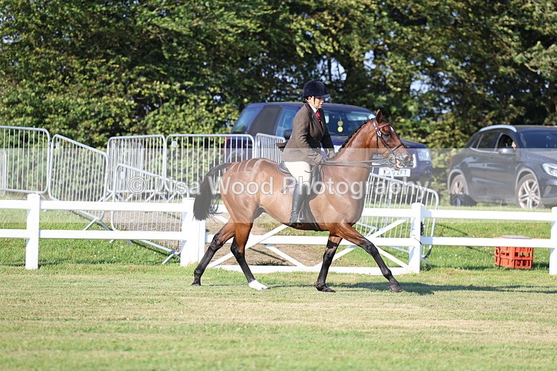 3E7A4935 - Class 1: Rising Star Small Hack/Riding Horses