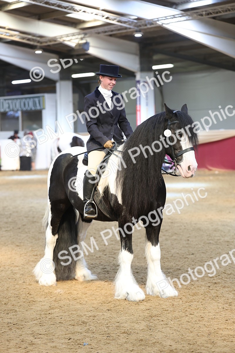 SBM_23785 - class 906 - Supreme Final - Ridden Pre Vet