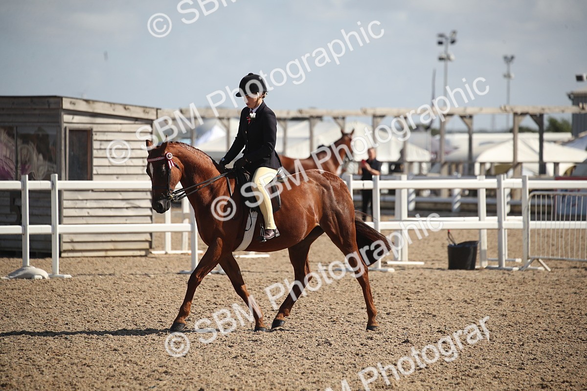 SBM_22948 - Class 603 - 2026 - Ridden Pre Vet