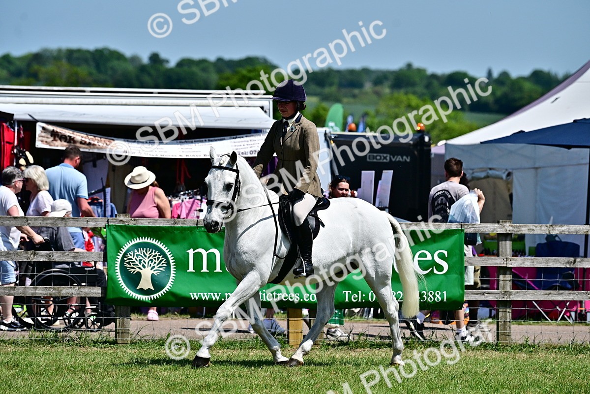 SBM_17469 - Class 95-97 - BSPS LHS Performance Ponies