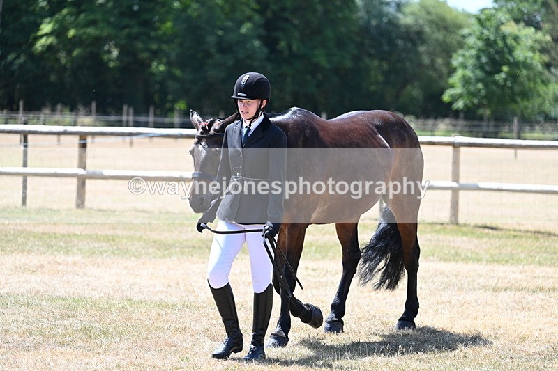 WJ7_2327 - Class 5a Most Handsome Gelding in hand (above 14.2hh)