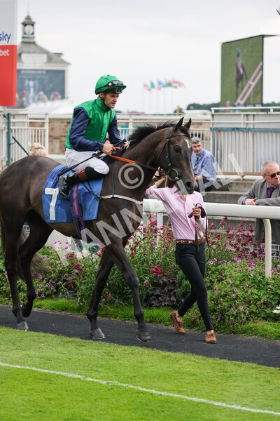 yr24072021r7-22 - Race 7 5.35pm The Sporting Life Fast Results Stakes