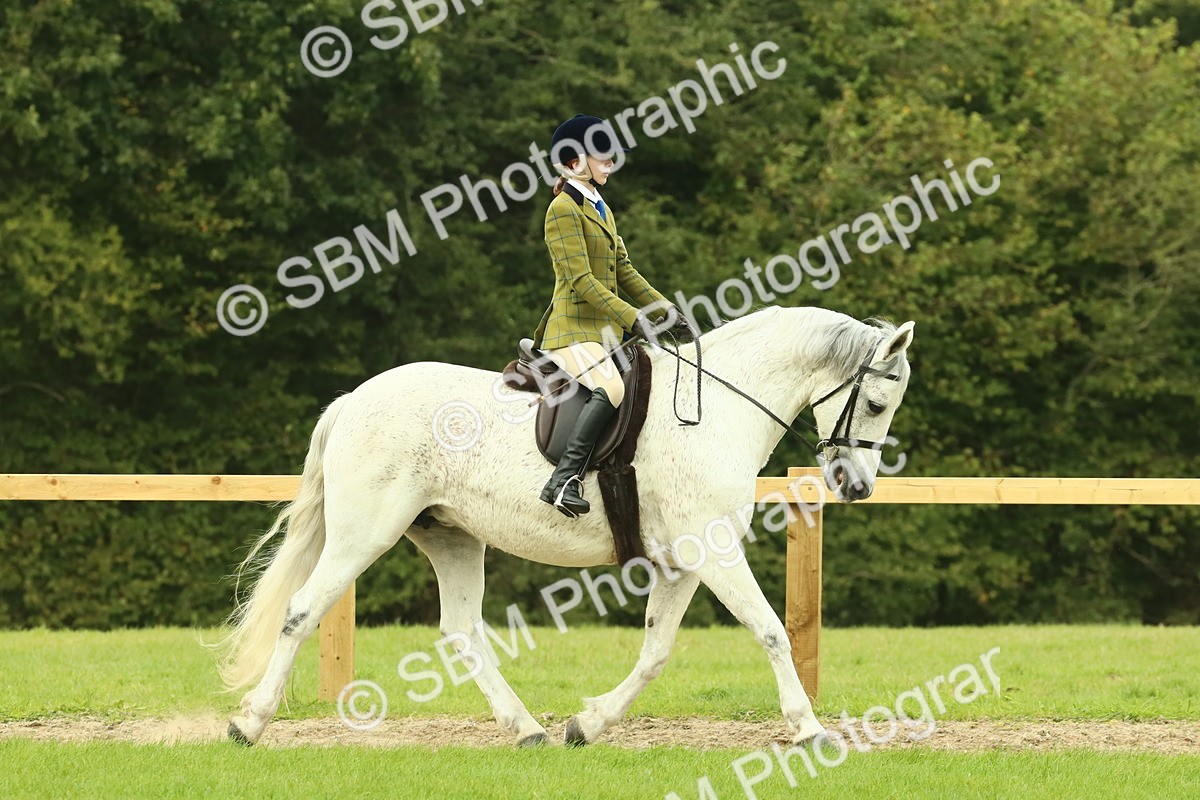SBM_71866 - S60 - Mountain & Moorland Ridden Large Breeds