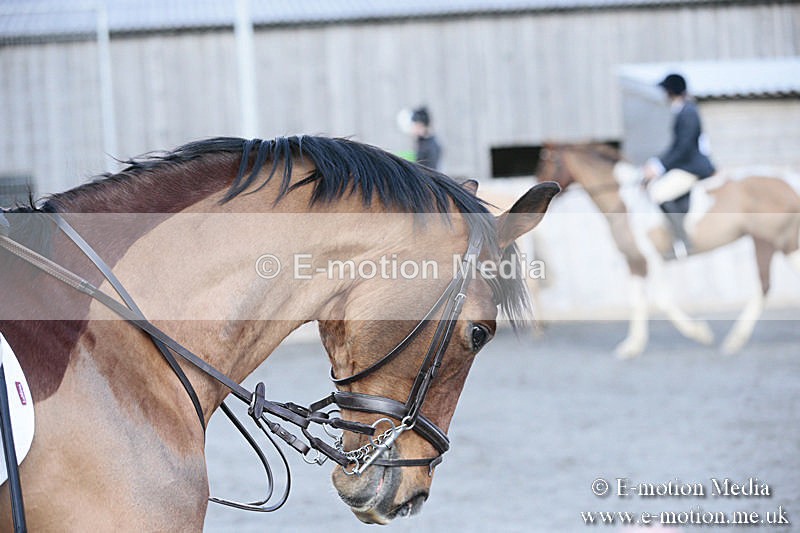 BVRC SJ 170319 364 - Bourne Valley Riding Club Showjumping 17/03/19