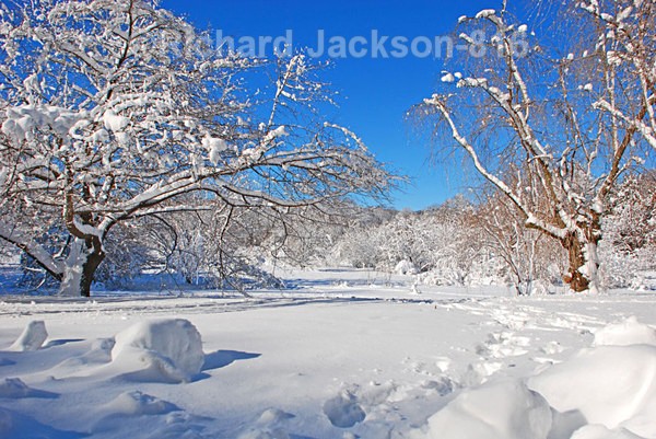 Snow-shoe Country - Out-and-About