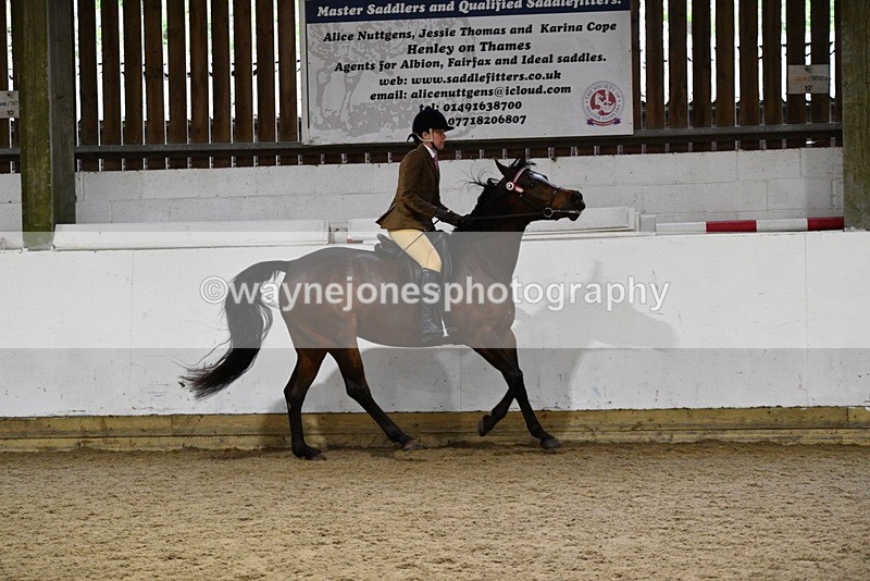 WJ5_8801 - Class 15 Ridden Show Horse