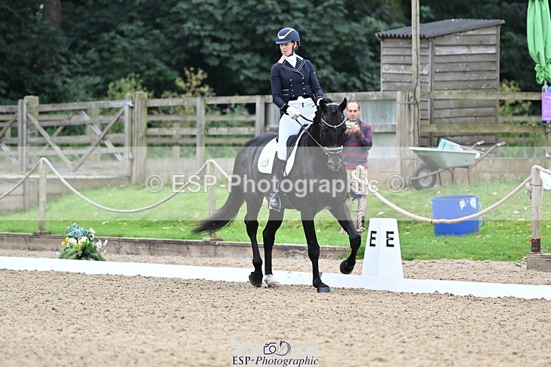 240810-102621-02668 - 235-Rebecca.Cowderoy-Nights.Dream