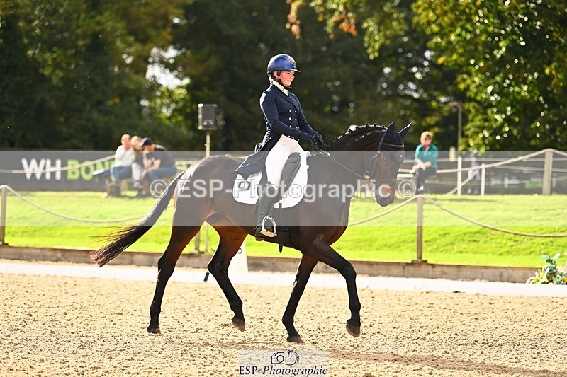 231020-142154-09921 - 307-WELLAN.GRAFFITI-Molly.Evans-DR