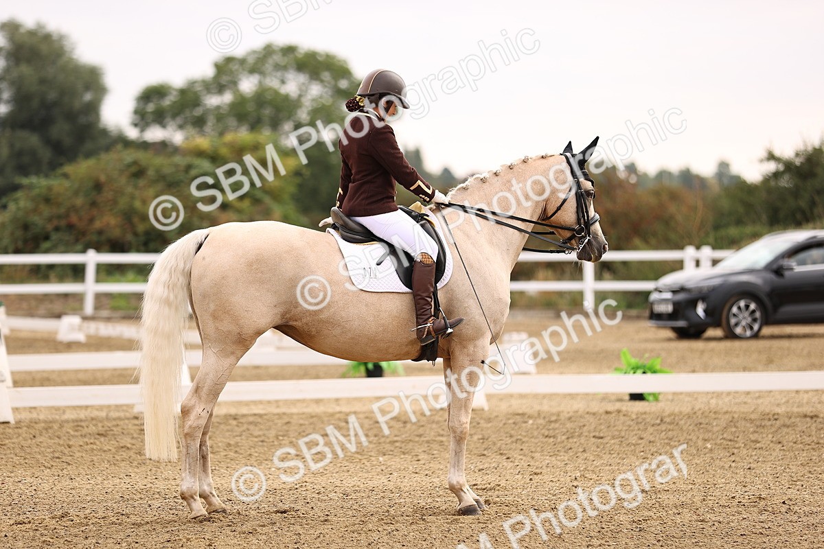 SBM_011519 - Class 1 - Medium 5