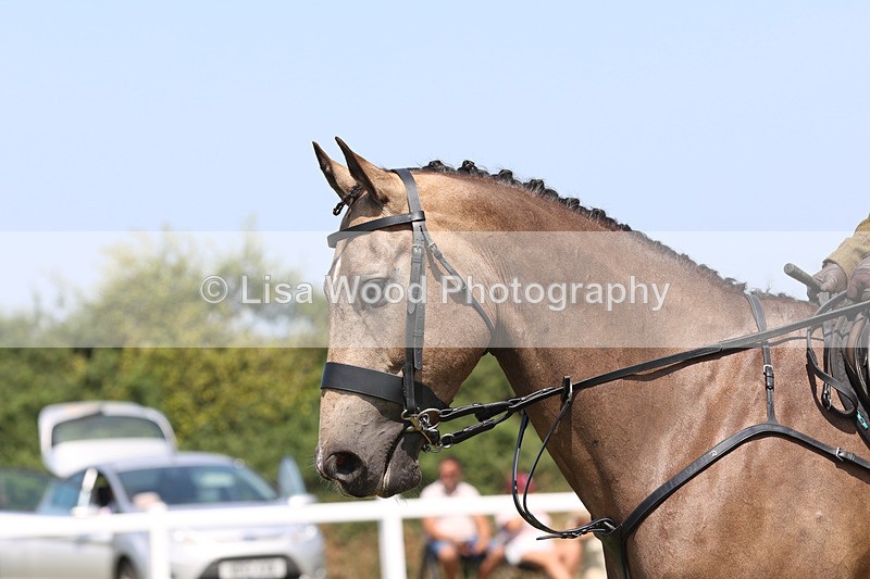 JPP_3113 - Class 22: Working Hunter 70cm