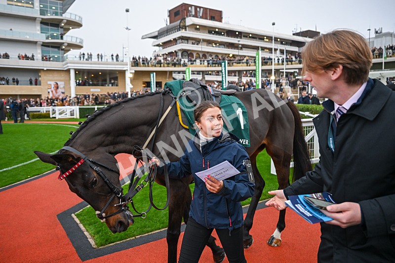 151125-Race 5-Gowel Road-3823 - Race 5