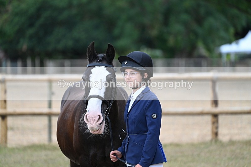 WJ7_9491 - Class 5 Most Handsome Gelding (up to 14.2hh)