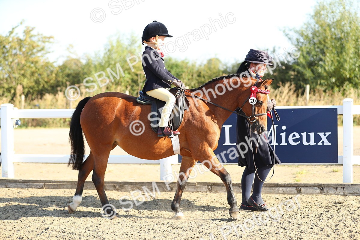 SBM_00365 - Class 41 Best Turned Out Ridden