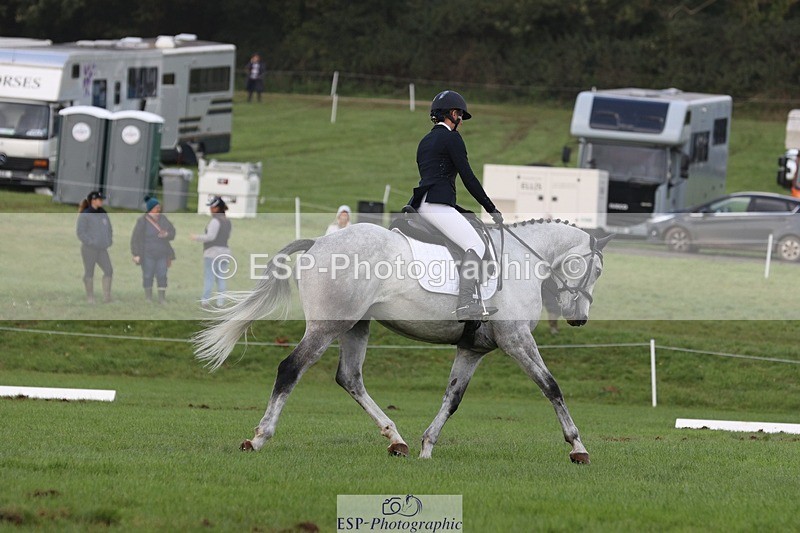 231019-154120-04980 - 557-KILBALLYBOY.SURPRISE-Courtney.Romcke-DR