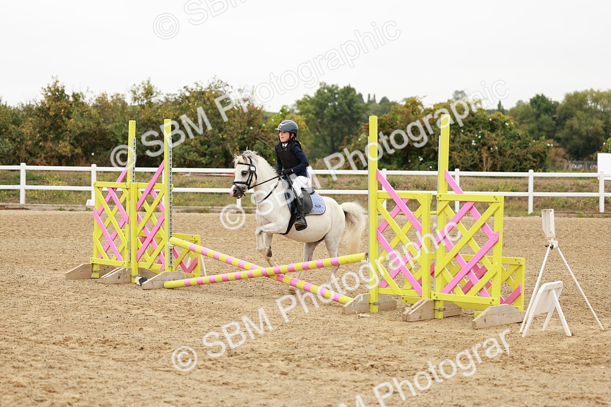 SBM_007038 - Class 1 - 40cm